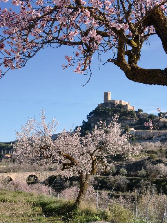 Hotel Rural Mas Fontanelles ビア エクステリア 写真